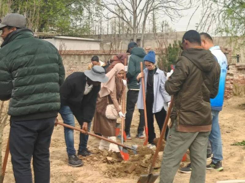 1775616249939614.jpg 9.jpg