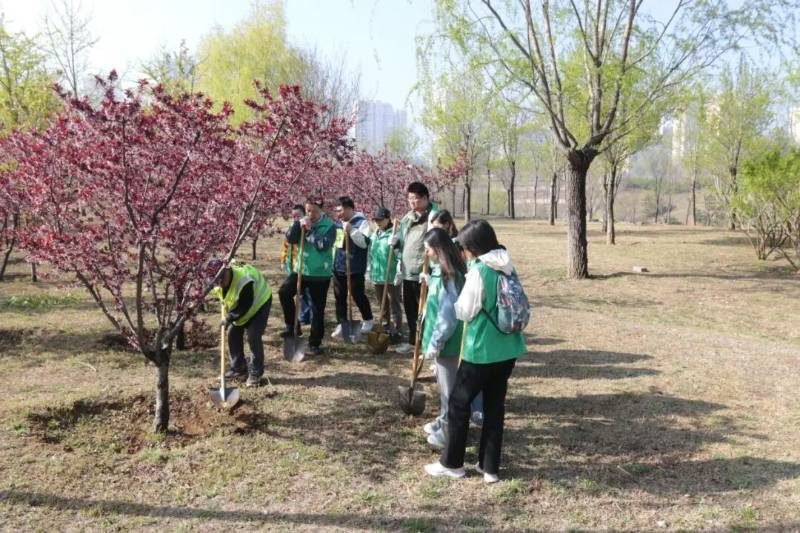 1776146337426115.jpg 49.jpg