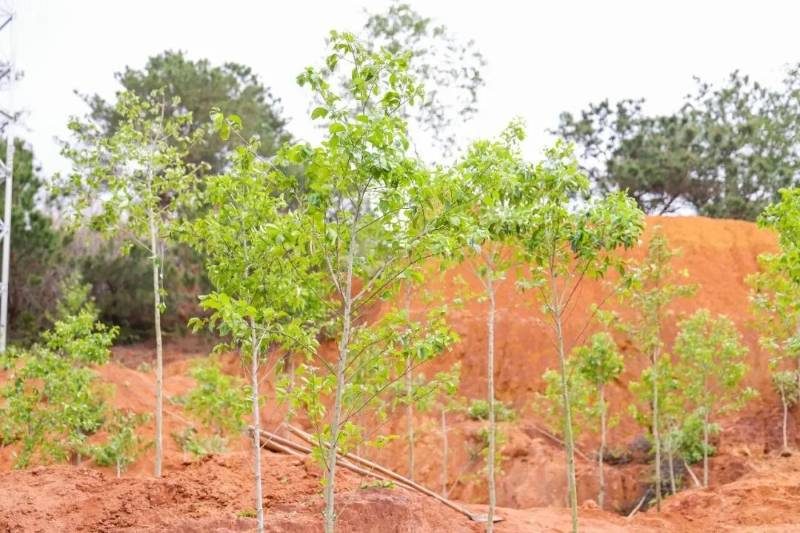 1 (1).jpg