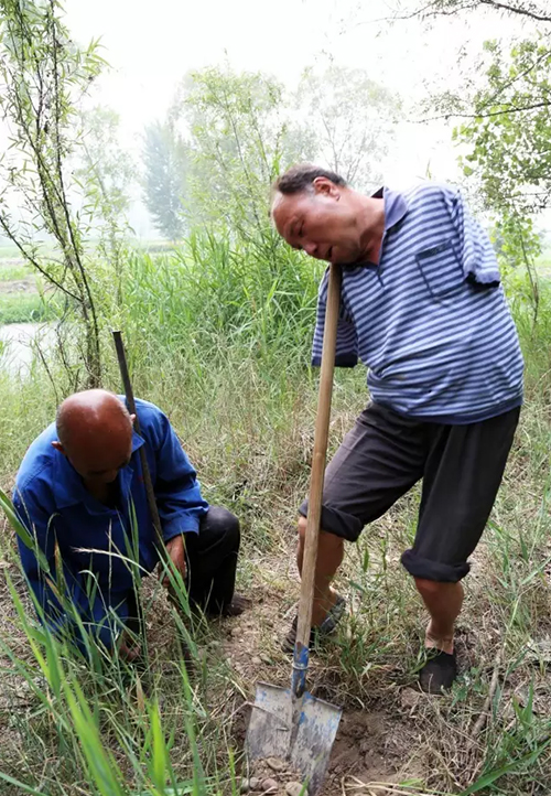 播绿人6.jpg