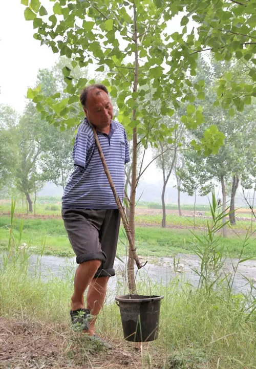 播绿人8.jpg