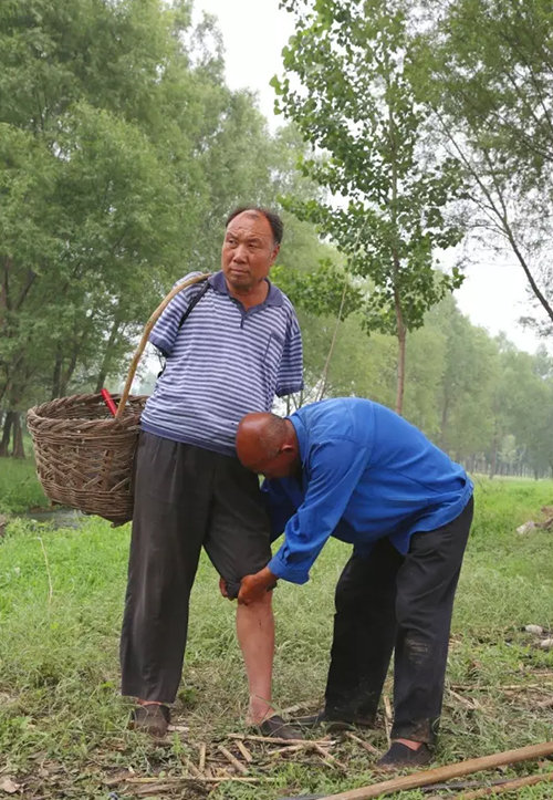 播绿人12.jpg