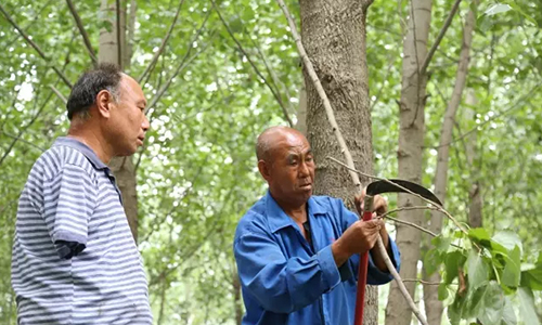 播绿人13.jpg