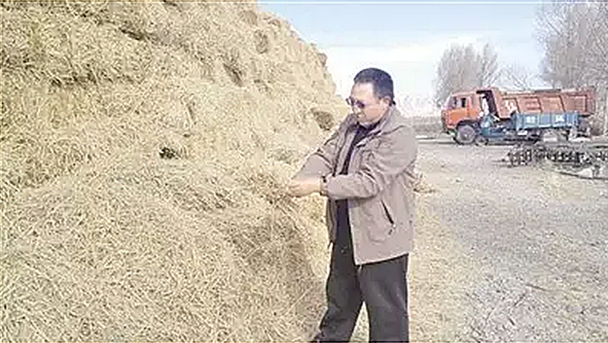 只为荒漠变绿洲1.jpg