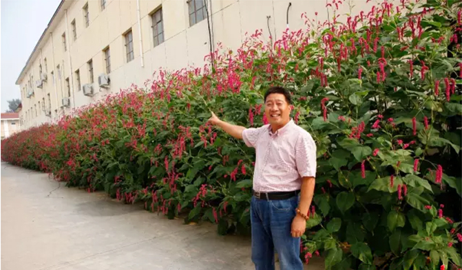 绿播1.jpg