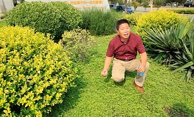 绿播2.jpg