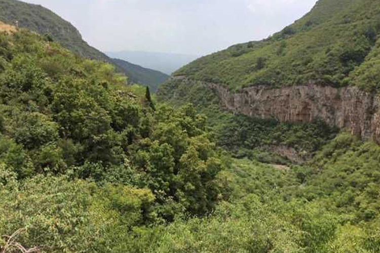 1519890164217654.jpg 大二.jpg