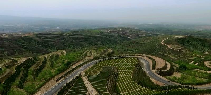 1520480816109201.jpg 微信图片_20180308112200.jpg