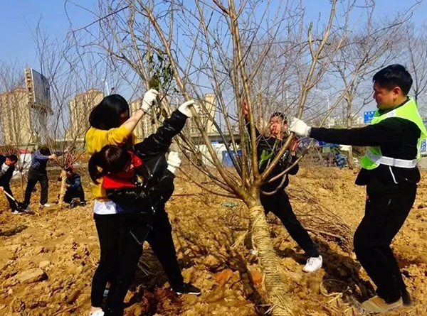 微信图片_20180323132118.jpg