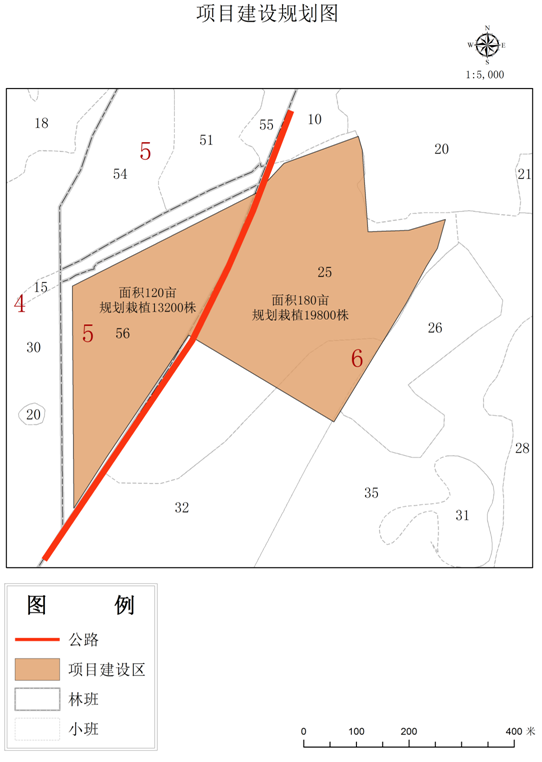 项目建设规划图.png