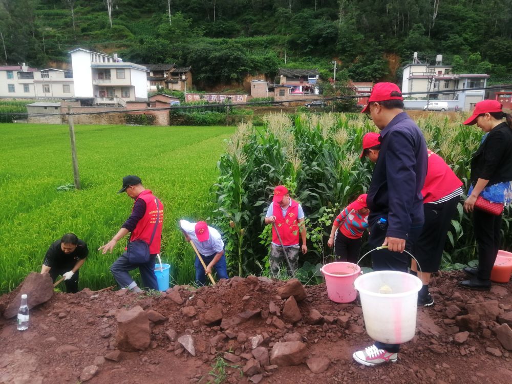 2020年8月14日,大姚县在新街镇团山村委会幸福桥组织开展了大姚县2020
