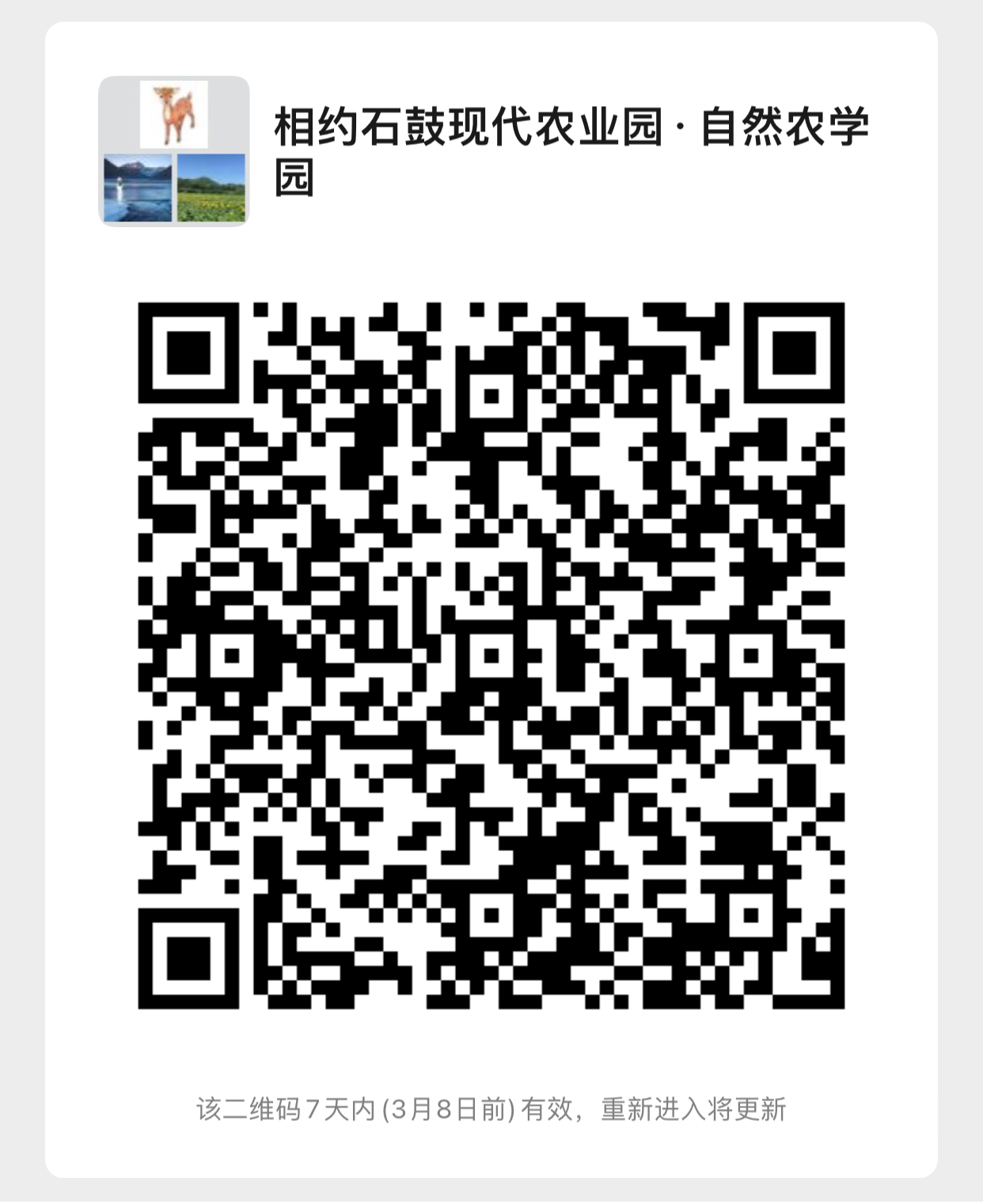 图片9.png