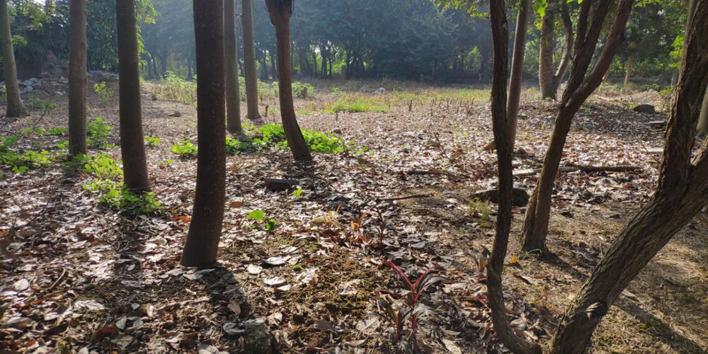 1670380063910674.png 1670380063910674.png