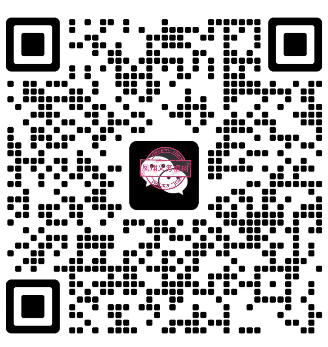 1677068341739509.png