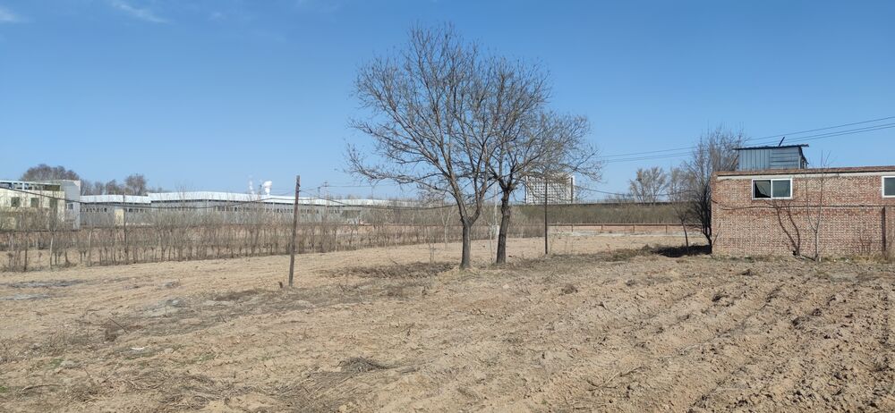 1681389425321586.jpg 1681389425321586.jpg