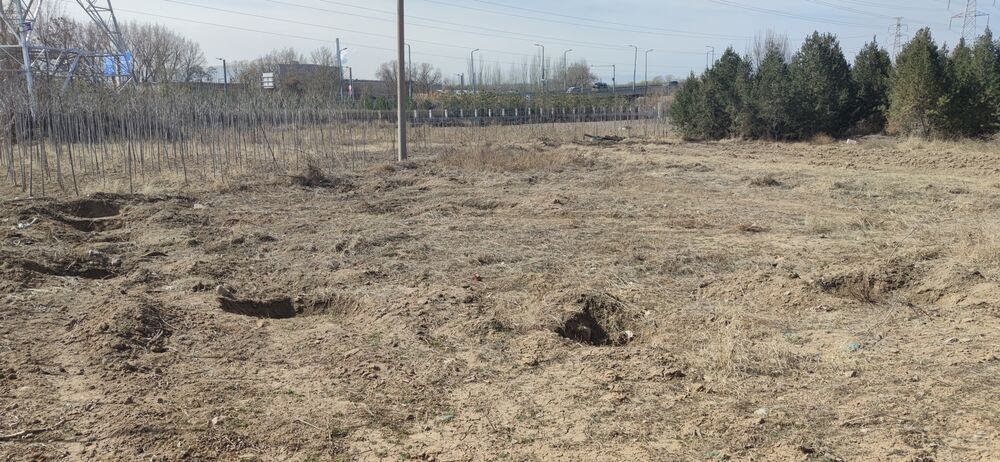 1681389463539108.jpg 1681389463539108.jpg