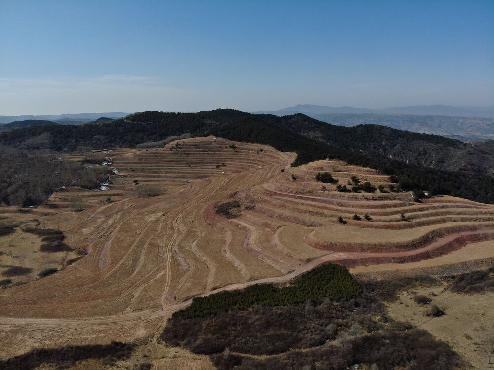 1683515216950605.jpg 1683515216950605.jpg