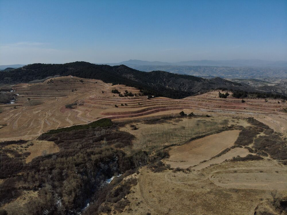 1683515246995723.jpg 1683515246995723.jpg