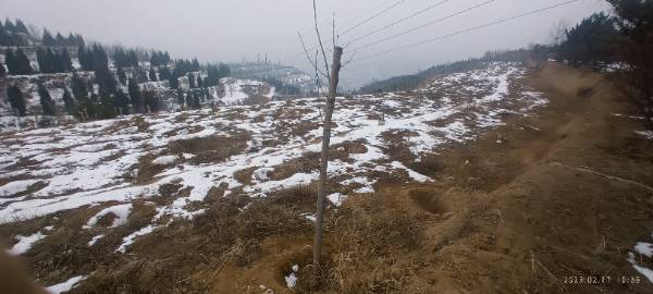 1683772548507263.jpg 529268470.jpg