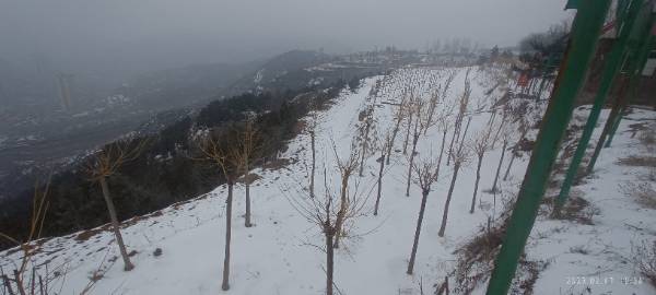 1683772596309114.jpg 1475158287.jpg