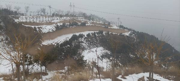 1683772664474142.jpg 1948039755.jpg