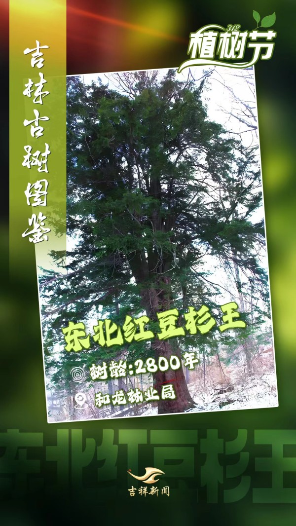 5_副本.jpg