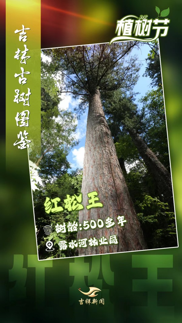 9_副本.jpg