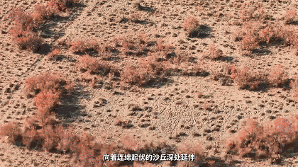 4.gif