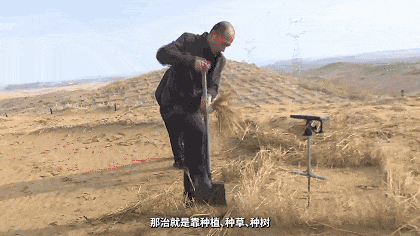 5.gif