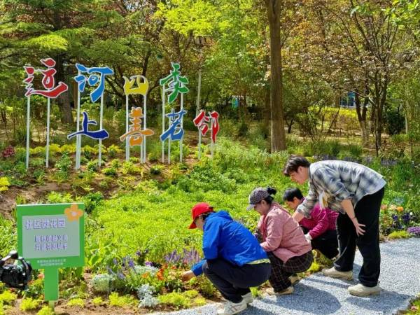 1762406444691845.jpg 2.jpg