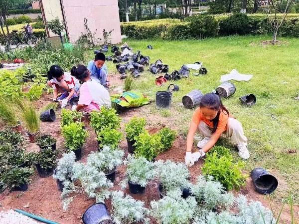 1762406448601673.jpg 3.jpg