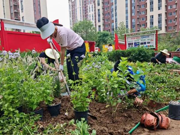 1762406464761906.jpg 5.jpg