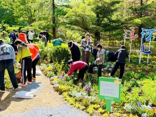 1762406503798280.jpg 8.jpg