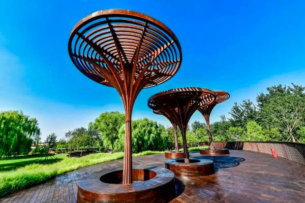 1762406511618872.jpg 9.jpg