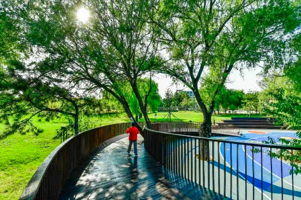 1762406519966673.jpg 10.jpg