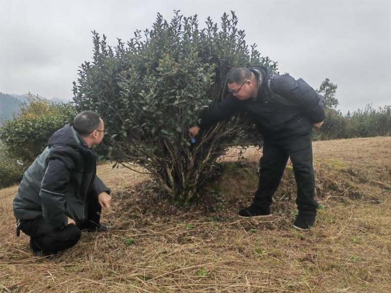 1770000617701675.jpg 15.jpg