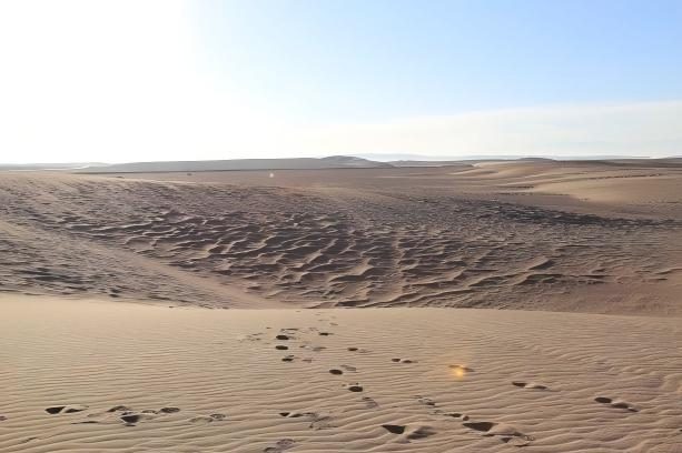 1770977210338455.jpg 1770977210338455.jpg