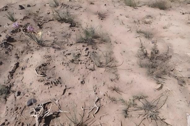 1770977210566067.jpg 1770977210566067.jpg