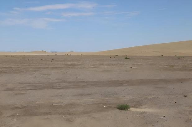 1770977210678576.jpg 1770977210678576.jpg