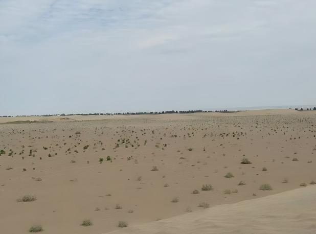 1770977704646256.jpg 1770977704646256.jpg