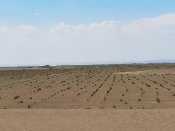 1770977752179560.jpg 1770977752179560.jpg