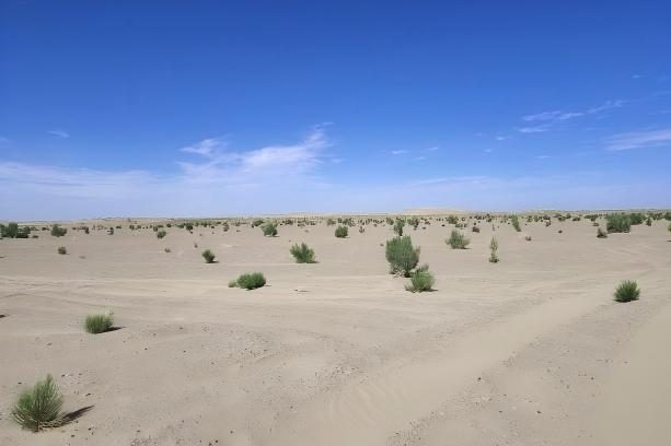 1770977770358372.jpg 1770977770358372.jpg