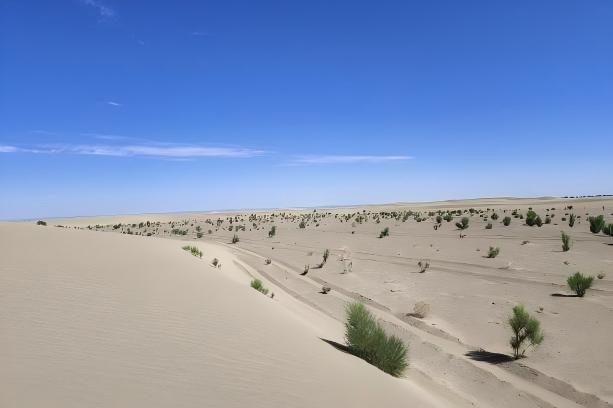 1770977773138713.jpg 1770977773138713.jpg