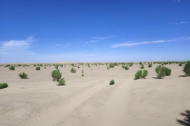 1770977777258072.jpg 1770977777258072.jpg