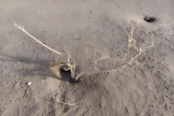 1770977780998168.jpg 1770977780998168.jpg