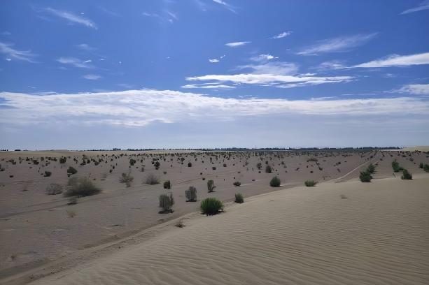 1770977783889335.jpg 1770977783889335.jpg