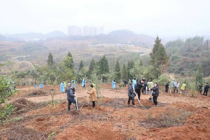 1772498856746568.jpg 21.jpg