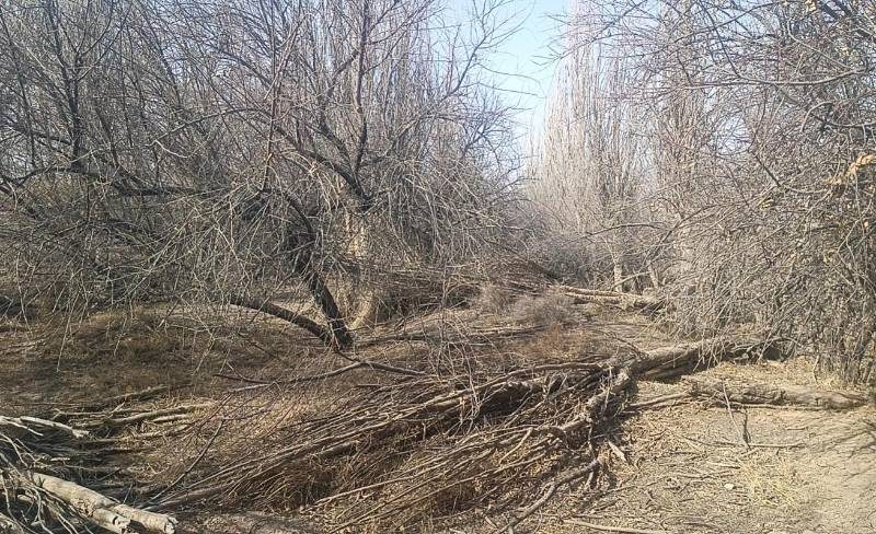 1772607027674955.jpeg 222.jpeg