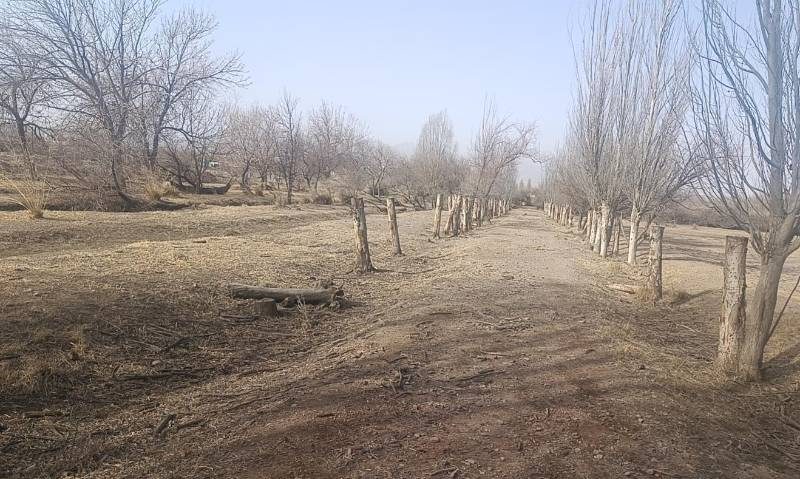 1772607031270107.jpeg 333.jpeg