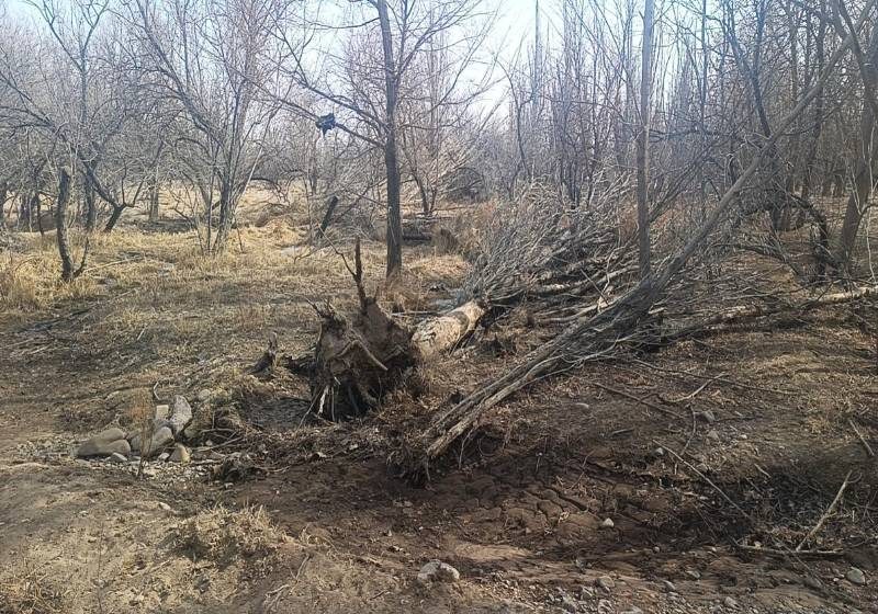 1772607034865722.jpeg 444.jpeg